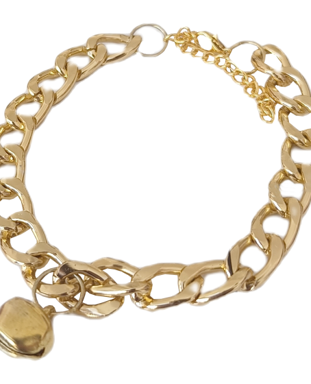 Kedi Ve Köpek Lüx Zincir Kolye 25-30 cm Medium Gold