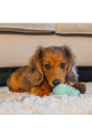 Yavru Köpek Sumo Mını Dental Oyuncak Xs 3-6 kg