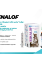 Catalysis Renalof Pets 30 Ml- Kedi Ve Köpekte Böbrek - Idrar Yolu Taşları Catalysis Renalof Pets 30 Ml- Kedi Ve Köpekte Böbrek - Idrar Yolu Taşları
