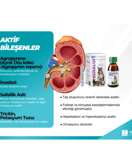 Catalysis Renalof Pets 30 Ml- Kedi Ve Köpekte Böbrek - Idrar Yolu Taşları Catalysis Renalof Pets 30 Ml- Kedi Ve Köpekte Böbrek - Idrar Yolu Taşları