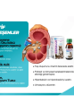 Catalysis Renalof Pets 30 Ml- Kedi Ve Köpekte Böbrek - Idrar Yolu Taşları Catalysis Renalof Pets 30 Ml- Kedi Ve Köpekte Böbrek - Idrar Yolu Taşları