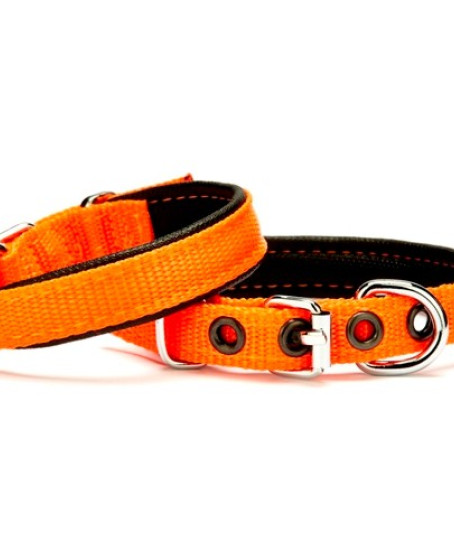 Softlu Köpek Boyun Tasması 1,5 cm x 30 cm Turuncu