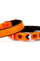 Softlu Köpek Boyun Tasması 1,5 cm x 30 cm Turuncu