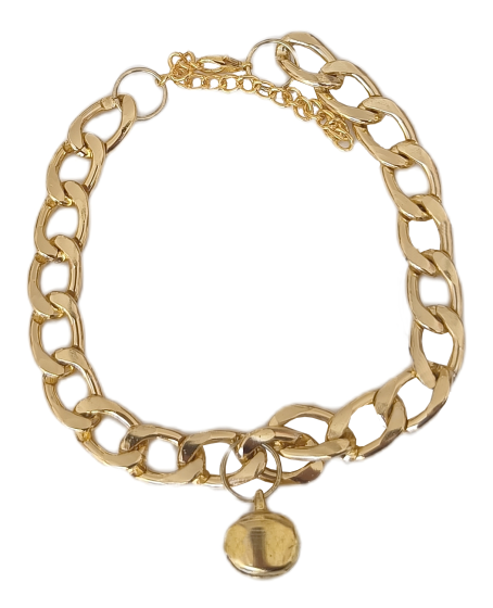 Kedi Ve Köpek Lüx Zincir Kolye 25-30 cm Medium Gold