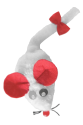 Kedi Oyuncağı Bıyıklı Peluş Fare 4,5 x 6-15 cm Beyaz Kedi Oyuncağı Bıyıklı Peluş Fare 4,5 x 6-15 cm Beyaz
