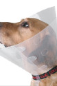 Kedi Köpek Yakalığı Small 12,5cm ø/ 28-33cm Kedi Köpek Yakalığı Small 12,5cm ø/ 28-33cm
