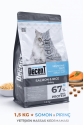 Decent Sensitive Skin Somon & Pirinç Yetişkin Kedi Maması 1,5 Kg Decent Sensitive Skin Somon & Pirinç Yetişkin Kedi Maması 1,5 Kg