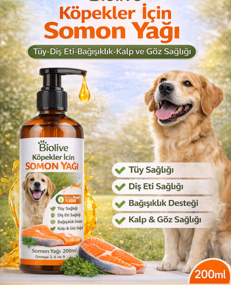Biolive Köpekler İçin Somon Yağı Tüy-Dış Eti-Bağışıklık-Kalp ve Göz Sağlı 200ml Biolive Köpekler İçin Somon Yağı Tüy-Dış Eti-Bağışıklık-Kalp ve Göz Sağlı 200ml
