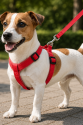 Gezdirme Kayışlı Dokuma Köpek Göğüs Tasma Seti 32*47-110 cm Kırmızı