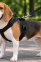 Gezdirme Kayışlı Dokuma Köpek Göğüs Tasma Seti 32*47-110 cm Siyah