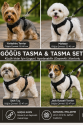 Gezdirme Kayışlı Dokuma Köpek Göğüs Tasma Seti 32*47-110 cm Siyah
