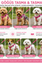 Gezdirme Kayışlı Dokuma Köpek Göğüs Tasma Seti 32*47-110 cm Pembe Gezdirme Kayışlı Dokuma Köpek Göğüs Tasma Seti 32*47-110 cm Pembe