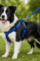Gezdirme Kayışlı Dokuma Köpek Göğüs Tasma Seti 40*60-110 cm Mavi Gezdirme Kayışlı Dokuma Köpek Göğüs Tasma Seti 40*60-110 cm Mavi