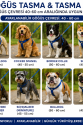 Gezdirme Kayışlı Dokuma Köpek Göğüs Tasma Seti 40*60-110 cm Mavi Gezdirme Kayışlı Dokuma Köpek Göğüs Tasma Seti 40*60-110 cm Mavi