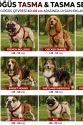 Gezdirme Kayışlı Dokuma Köpek Göğüs Tasma Seti 40*60-110 cm Kırmızı Gezdirme Kayışlı Dokuma Köpek Göğüs Tasma Seti 40*60-110 cm Kırmızı