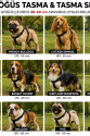 Gezdirme Kayışlı Dokuma Köpek Göğüs Tasma Seti 40*60-110 cm Siyah Gezdirme Kayışlı Dokuma Köpek Göğüs Tasma Seti 40*60-110 cm Siyah