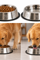 Köpekler İçin Pati Desenli Çelik Mama Su Kabı 25 Cm - 32 Oz - 1 LT