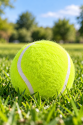 KP Köpek Oyuncağı Tenis Topu Sert 2’li 8 cm – Dayanıklı Köpek Topu KP Köpek Oyuncağı Tenis Topu Sert 2’li 8 cm – Dayanıklı Köpek Topu