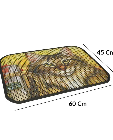 Kum Toplayıcı Fonksiyonel Renkli Kedi Paspası 45 x 60 cm