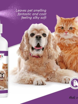 Pro Perfeck Kedi Ve Köpek Paçuli Parfüm 100 ml
