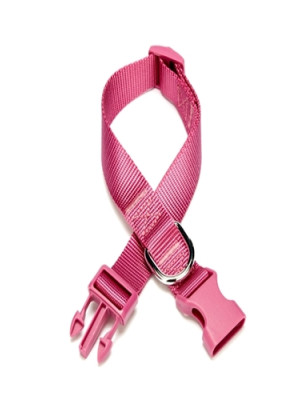 Dokuma Köpek Boyun Tasması 2 cm x 30-45 cm Mor 