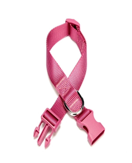 Dokuma Köpek Boyun Tasması 2 cm x 30-45 cm Mor 