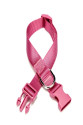 Dokuma Köpek Boyun Tasması 2 cm x 30-45 cm Mor 