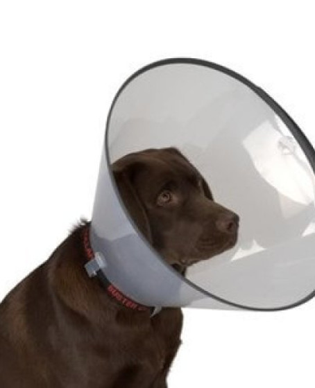 Kedi Köpek Yakalığı 15 CM