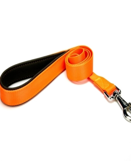 Köpek Gezdirme Kayışı 2,5*120 cm Turuncu