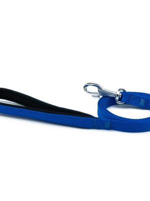 Köpek Gezdirme Kayışı 1,5*160cm Mavi