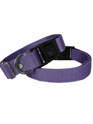 Köpek Tasması Dokuma 2 cm - Min: 30 cm - Max: 50 cm Mor