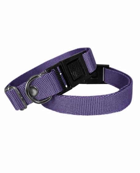 Köpek Tasması Dokuma 2 cm - Min: 30 cm - Max: 50 cm Mor