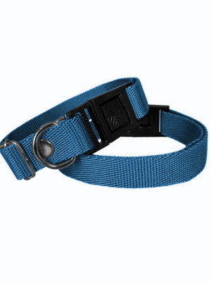 Köpek Tasması Dokuma 2 cm - Min: 30 cm - Max: 50 cm Mavi