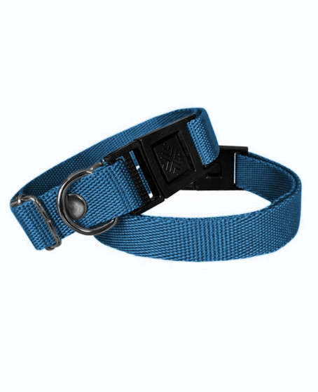 Köpek Tasması Dokuma 2 cm - Min: 30 cm - Max: 50 cm Mavi