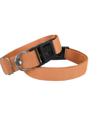 Köpek Tasması Dokuma 2 cm - Min: 30 cm - Max: 50 cm Turuncu