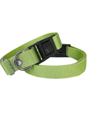 Köpek Tasması Dokuma 2 cm - Min: 30 cm - Max: 50 cm Yeşil