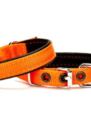 Softlu Köpek Boyun Tasması 1,5 cm x 35 cm Turuncu
