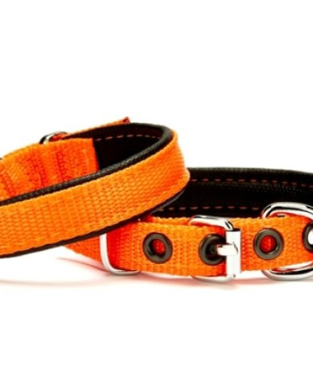 Softlu Köpek Boyun Tasması 1,5 cm x 35 cm Turuncu