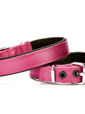 Softlu Köpek Boyun Tasması 1,5 cm x 35 cm Mor