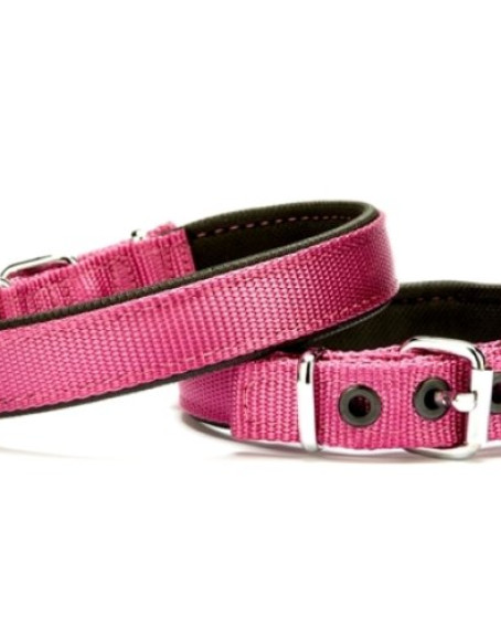 Dokuma Softlu Köpek Boyun Tasması 2 cm x 45 cm Mor Dokuma Softlu Köpek Boyun Tasması 2 cm x 45 cm Mor