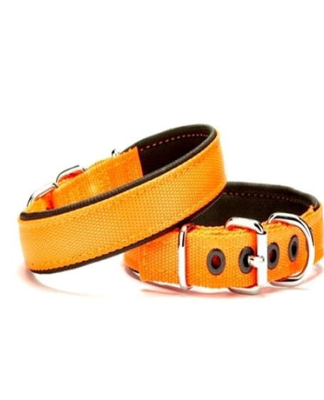 Dokuma Softlu Köpek Boyun Tasması 2 cm x 45 cm Turuncu Dokuma Softlu Köpek Boyun Tasması 2 cm x 45 cm Turuncu