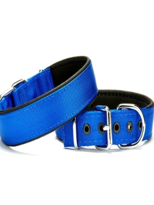 Köpek Tasması Softlu 3 cm x 65 cm Mavi