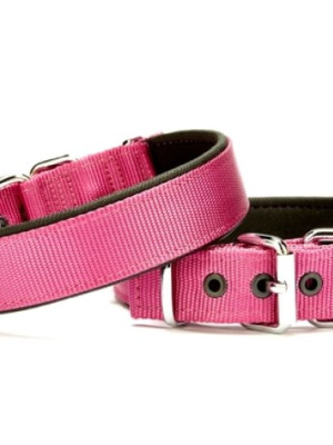 Softlu Köpek Boyun Tasması 3 cm x 55 cm Mor