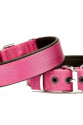 Softlu Köpek Boyun Tasması 3 cm x 55 cm Mor