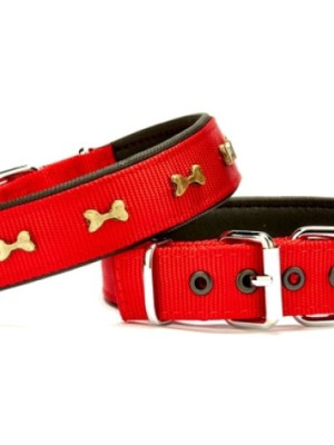 Softlu Metal Kemik Desenli Köpek Tasma 3 cm x 65 cm Kırmızı