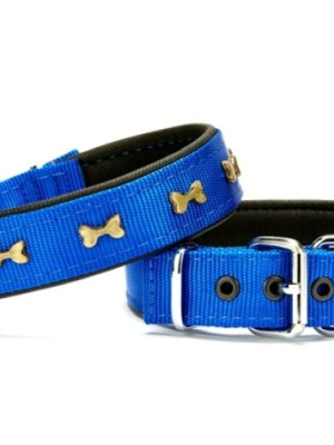 Kemik Metal Süslü Köpek Tasması 3*55 cm Medium Mavi