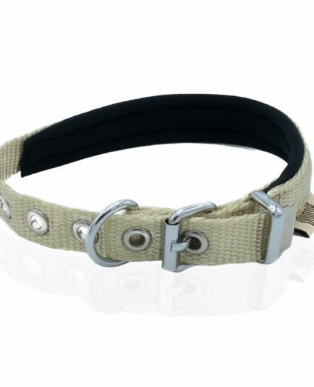 Softlu Köpek Boyun Tasması 1,5 cm x 35 cm Haki Softlu Köpek Boyun Tasması 1,5 cm x 35 cm Haki