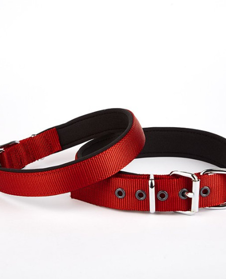 Dokuma Köpek Boyun Tasması 45-52 cm Kırmızı Dokuma Köpek Boyun Tasması 45-52 cm Kırmızı