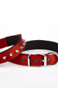Çivi Desenli Köpek Tasması 2,5*60 cm Kırmızı Çivi Desenli Köpek Tasması 2,5*60 cm Kırmızı