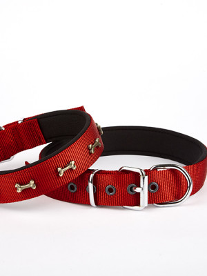 Softlu Kemik Desenli Köpek Tasması 2 cm x 45 cm Kırmızı